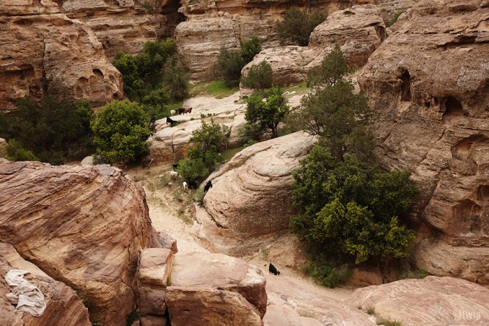 itwia_jordanie_littlepetra6