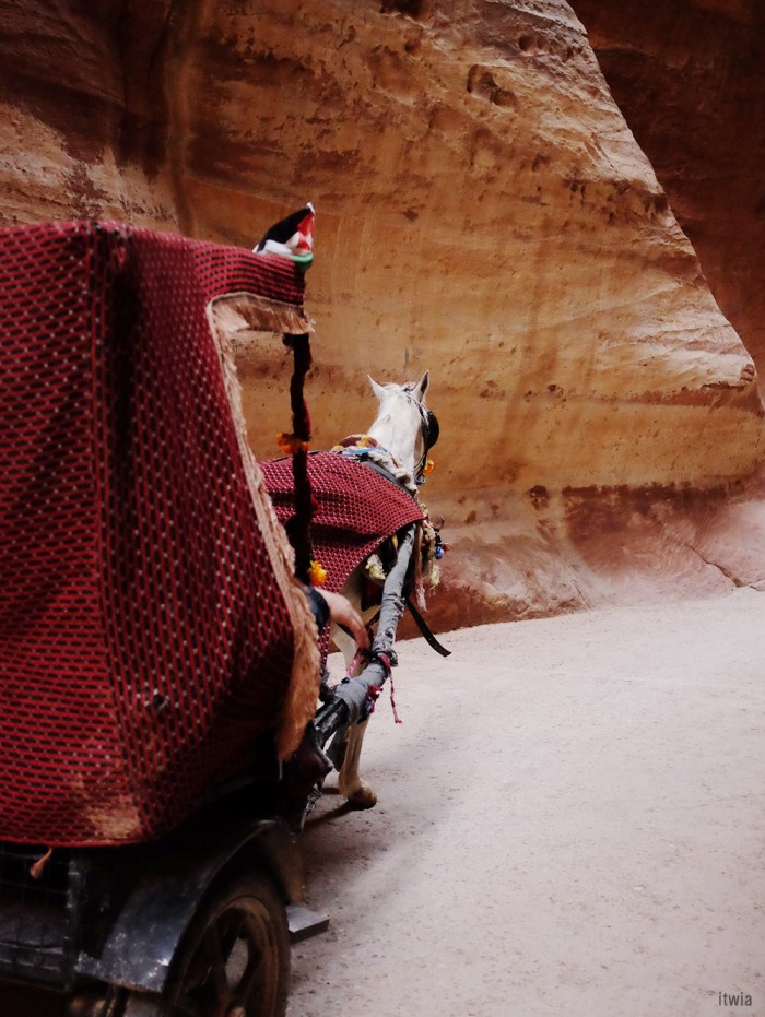 itwia_jordanie_petra37