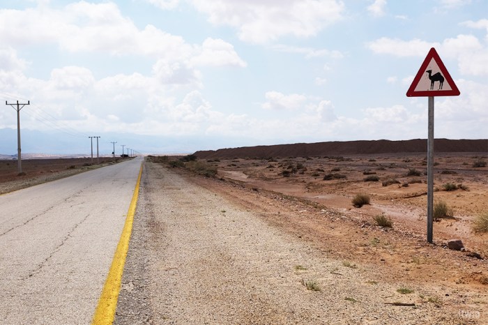 itwia_jordanie_road1