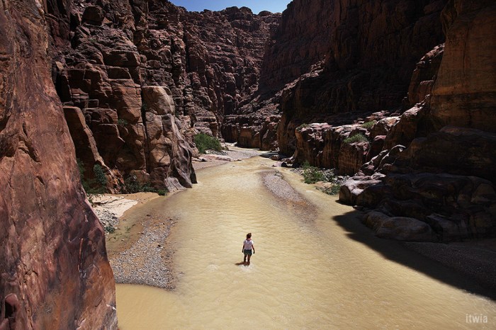 itwia_jordanie_wadimujib3