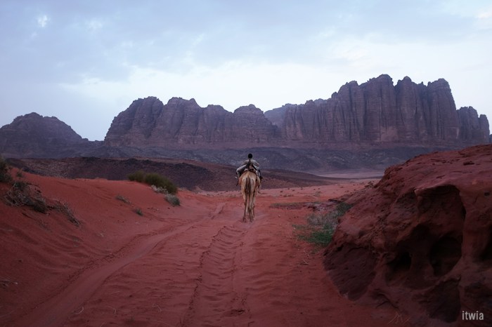 itwia_jordanie_wadirum10