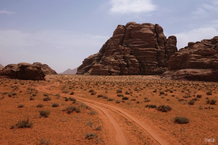 itwia_jordanie_wadirum15