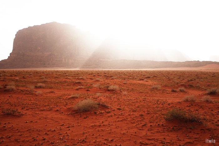 itwia_jordanie_wadirum18
