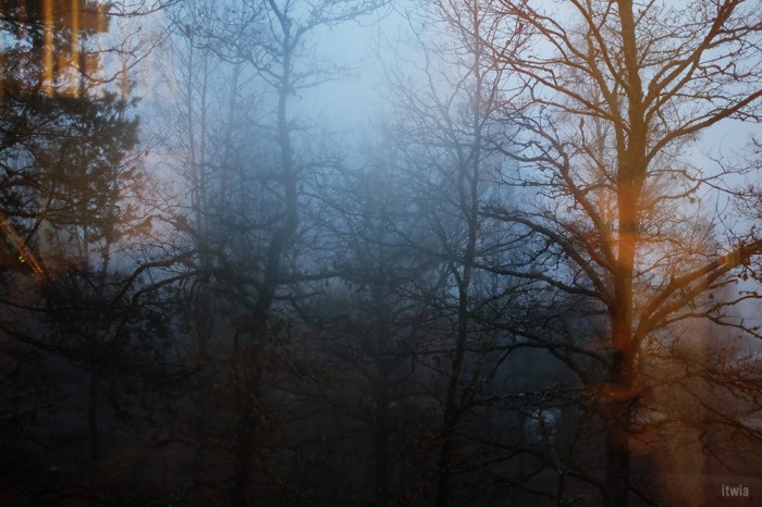 itwia_vosges_cabane5