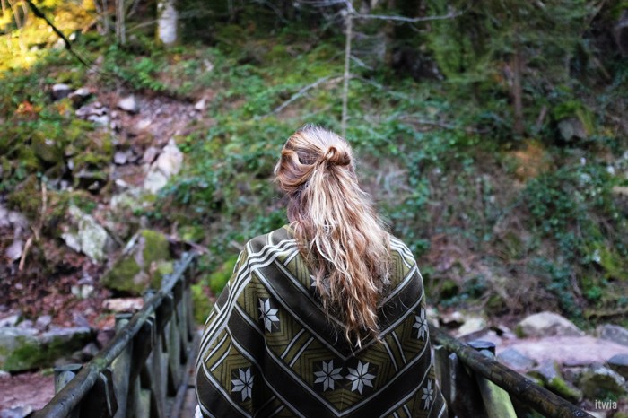 itwia_vosges_foret13