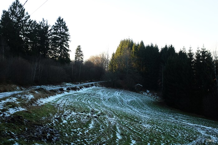 itwia_vosges_foret14