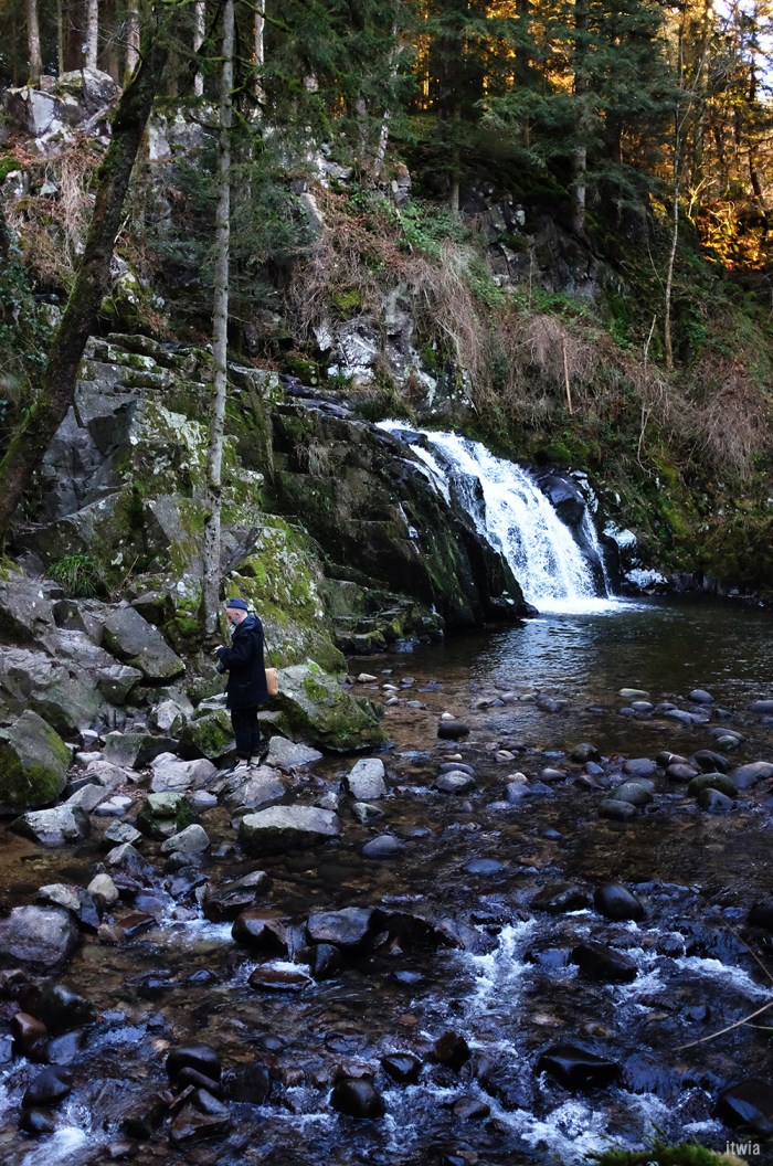 itwia_vosges_foret21