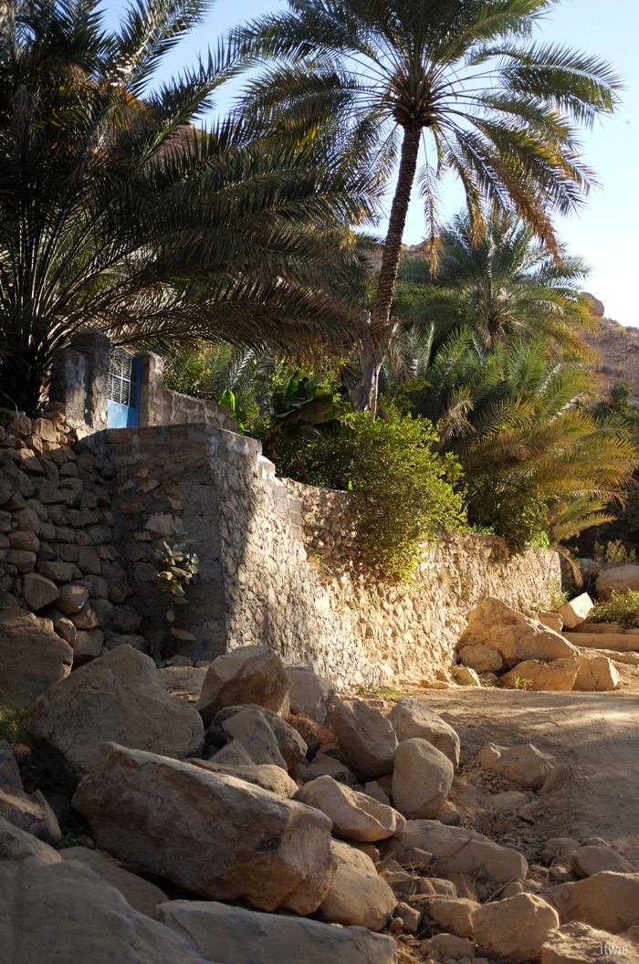 itwia_oman_wadibanikhalid10