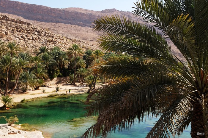 itwia_oman_wadibanikhalid16