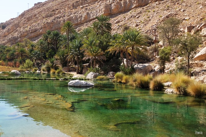 itwia_oman_wadibanikhalid17