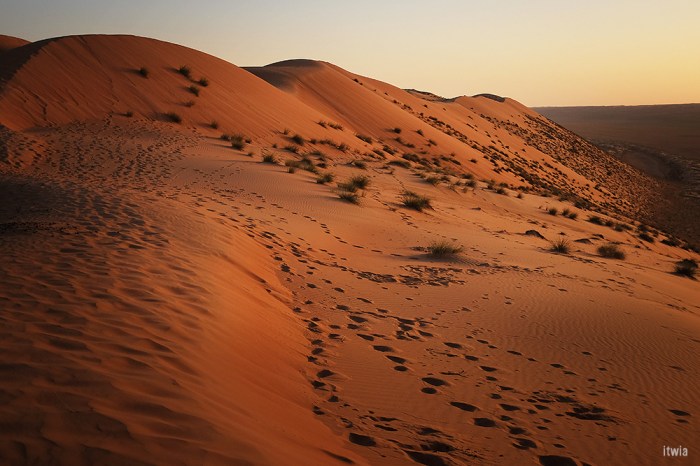 itwia_oman_wahiba6