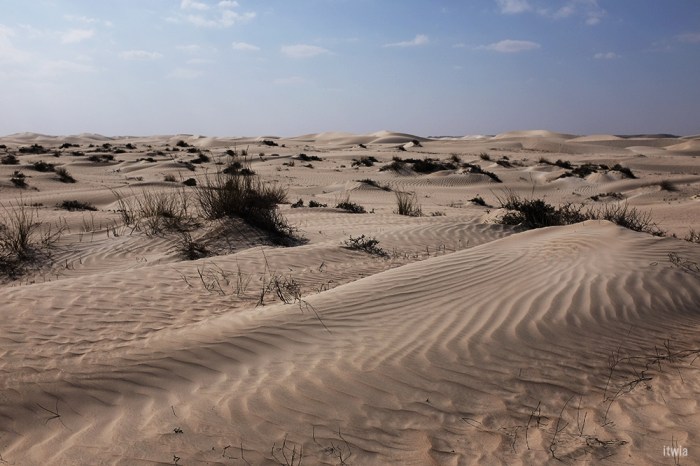 itwia_oman_whitedunes15