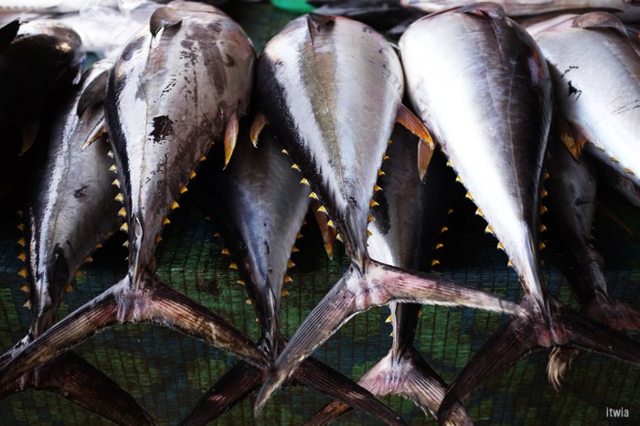 itwia_muscat_fishmarket5