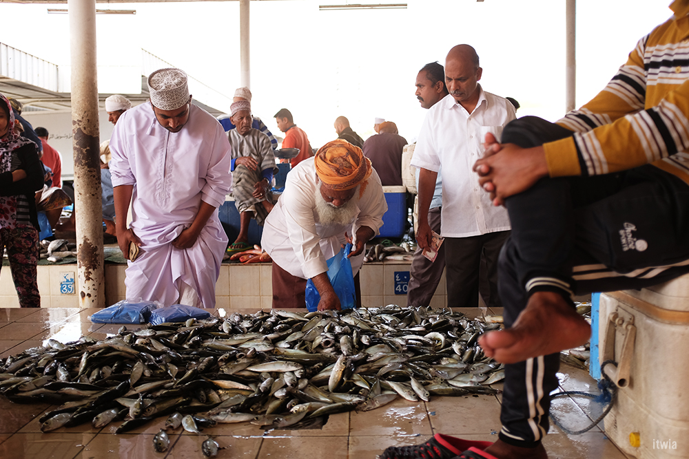 itwia_muscat_fishmarket6