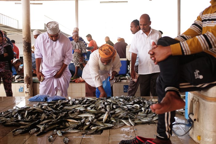 itwia_muscat_fishmarket6