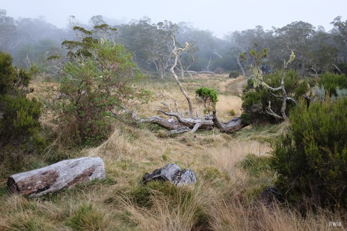 itwia_la reunion_coldesboeufs4