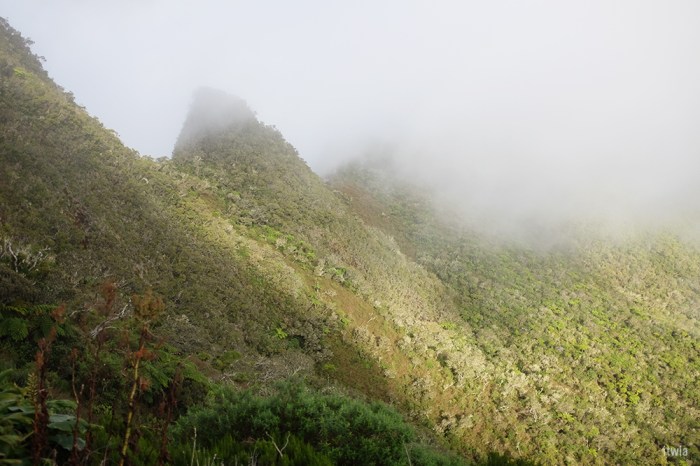 itwia_la reunion_coldesboeufs6