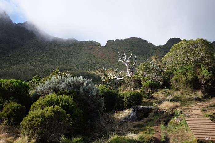 itwia_la reunion_coldesboeufs7