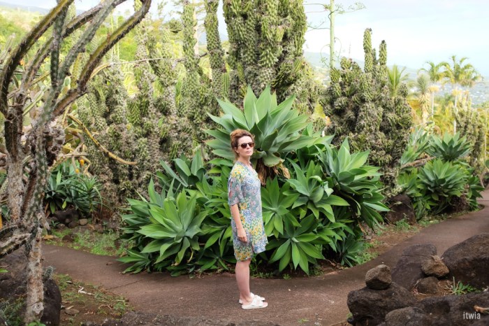 itwia_la reunion_stleu1