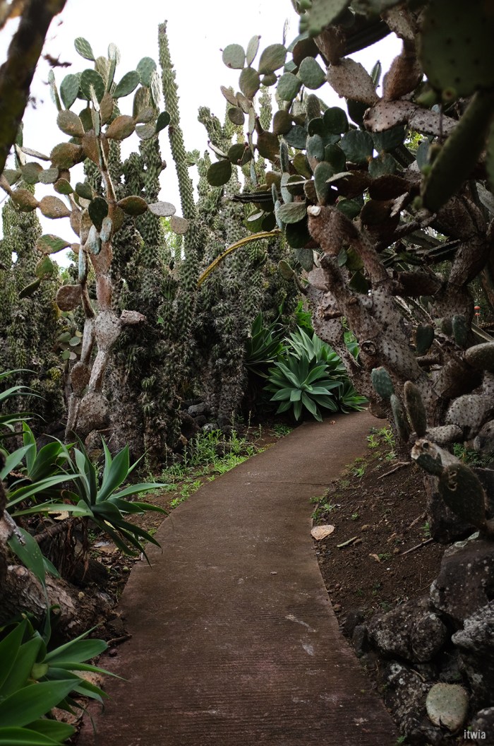 itwia_la reunion_stleu13