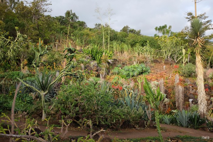 itwia_la reunion_stleu4