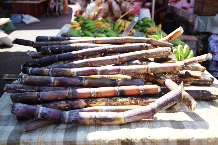 itwia_la reunion_stpaul4