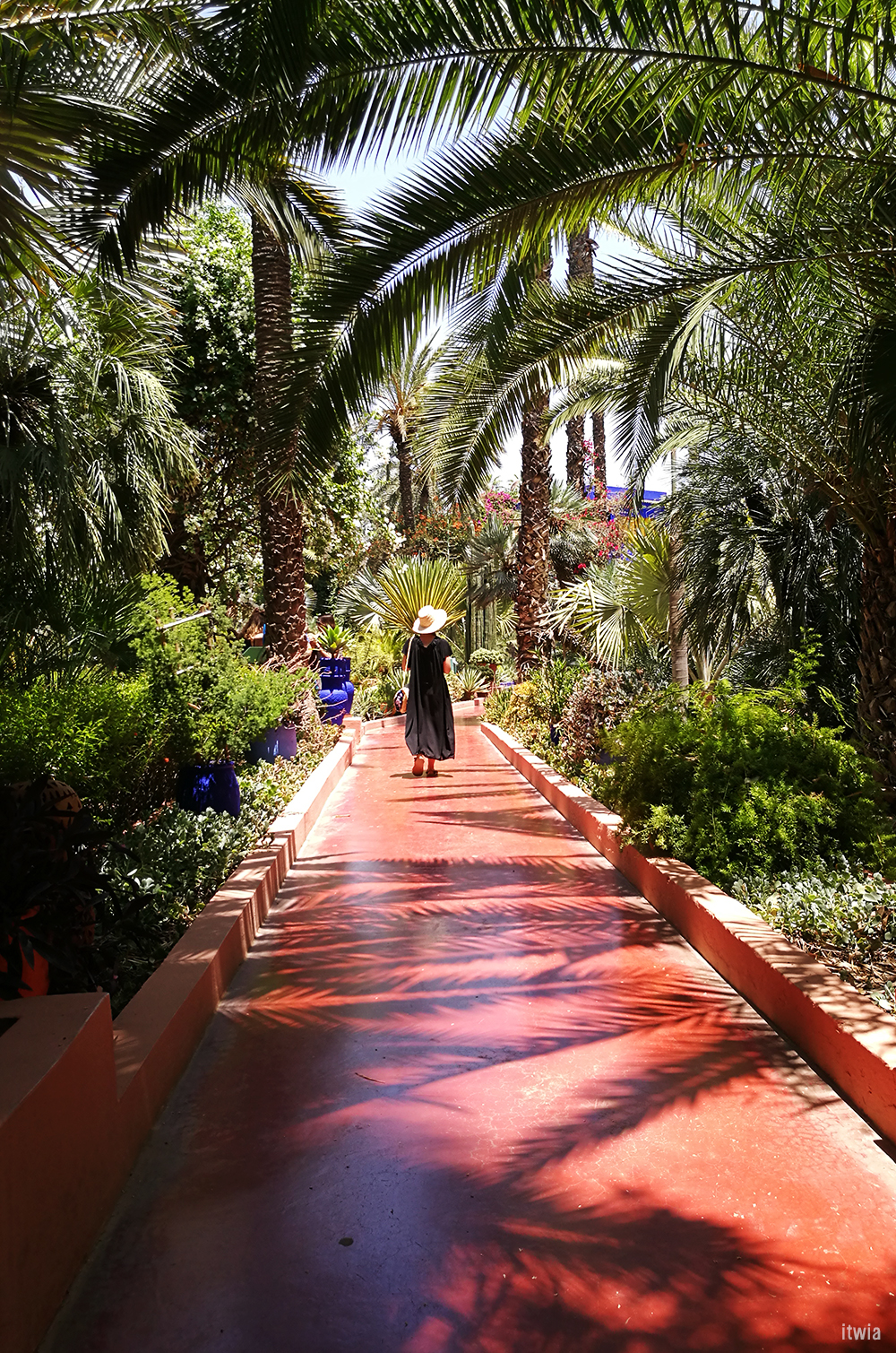 itwia_marrakech_majorelle1