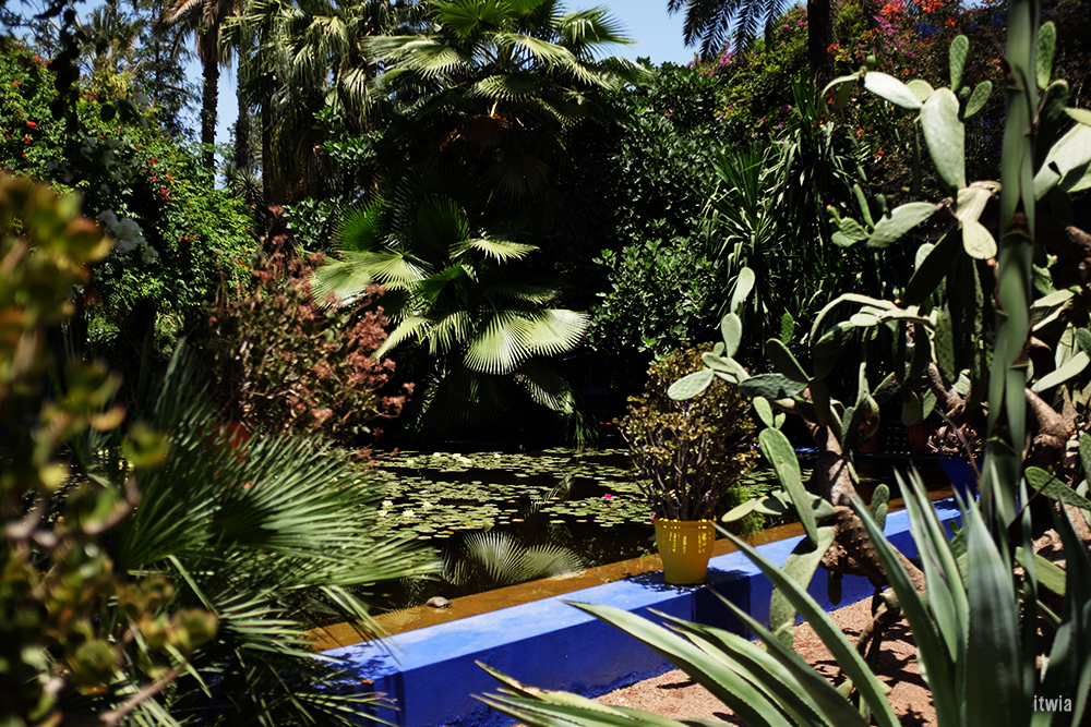 itwia_marrakech_majorelle12