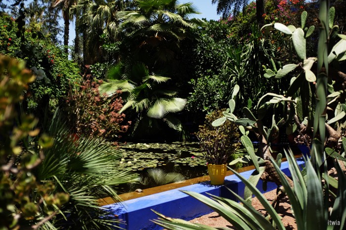 itwia_marrakech_majorelle12