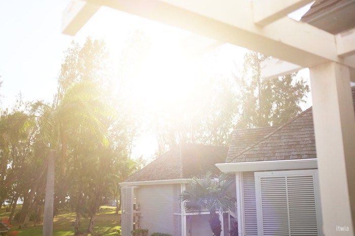 itwia_la reunion_lux18