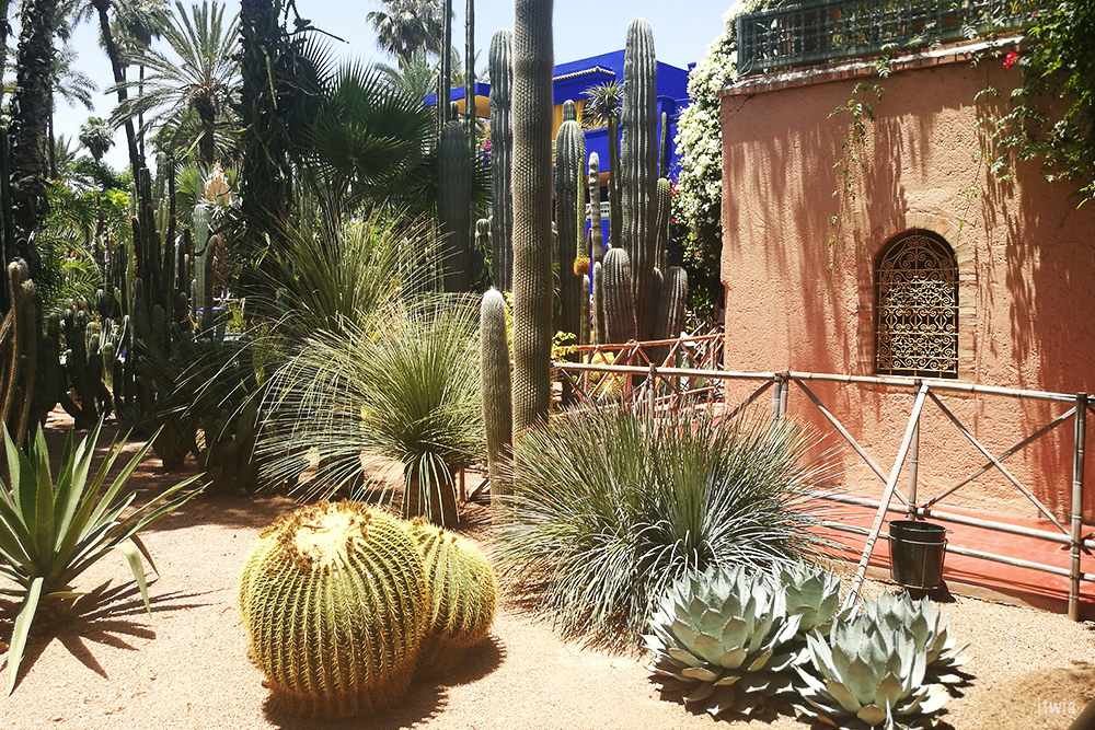 itwia_marrakech_majorelle13