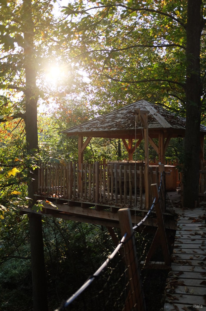 itwia_cabaneorigin22