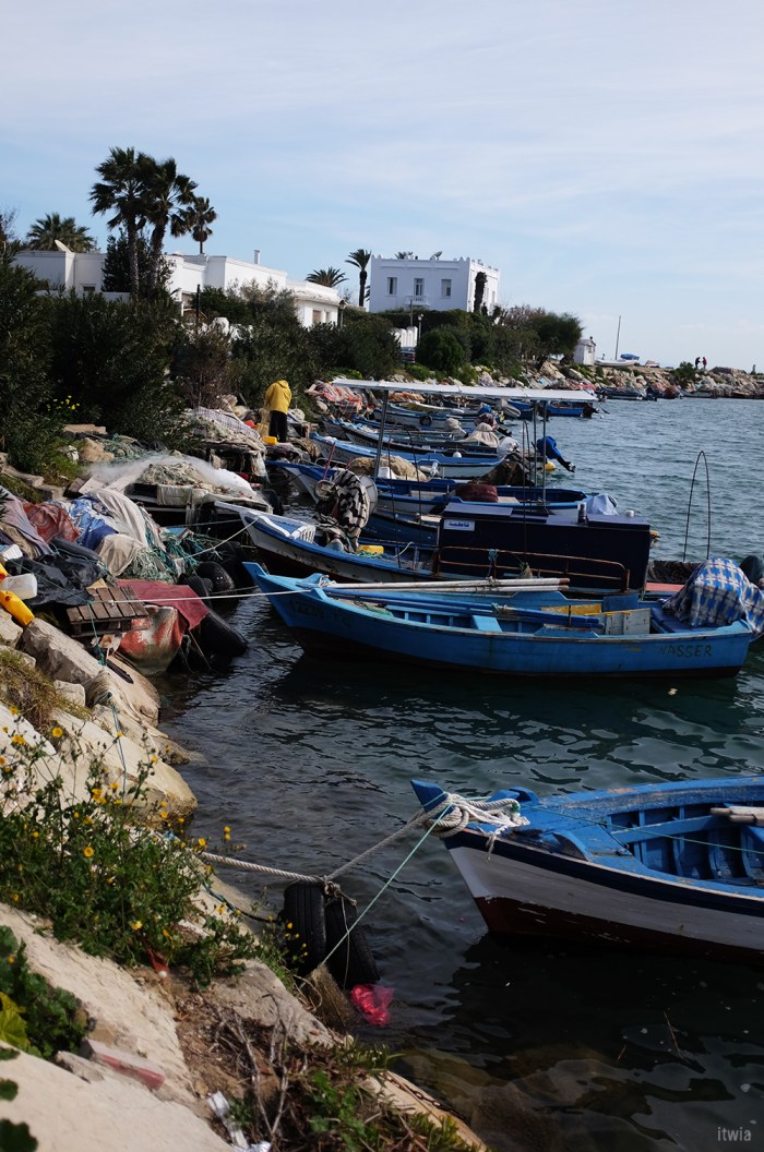 itwia_tunis27