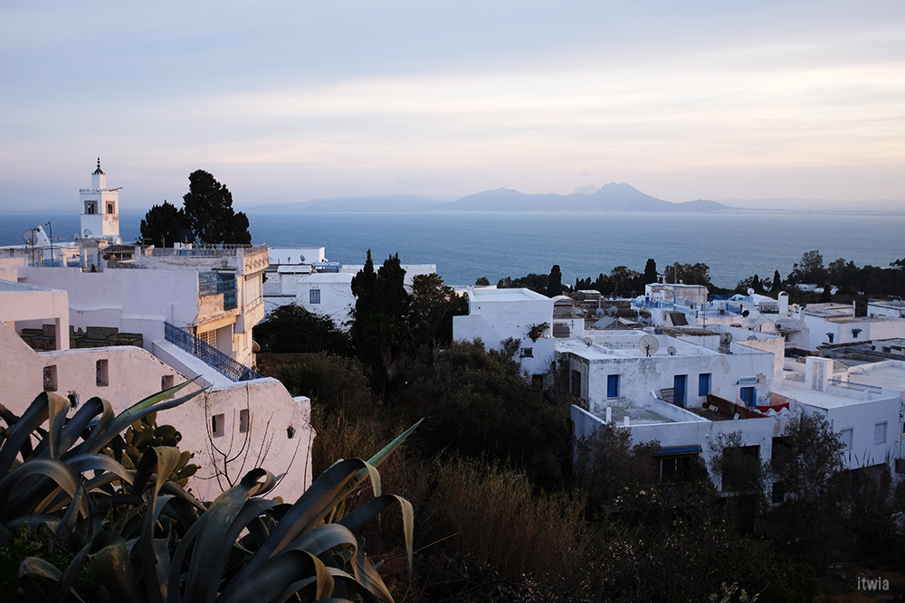 itwia_tunis_sidibousaid1