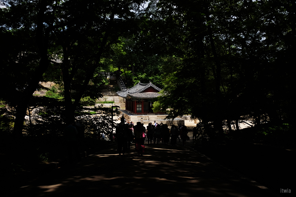 itwia_seoul_changdeokgung19
