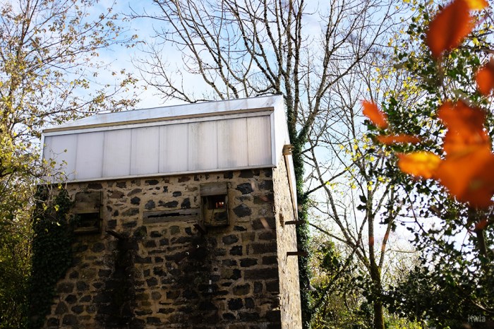 itwia_auvergne_boisbasalte41