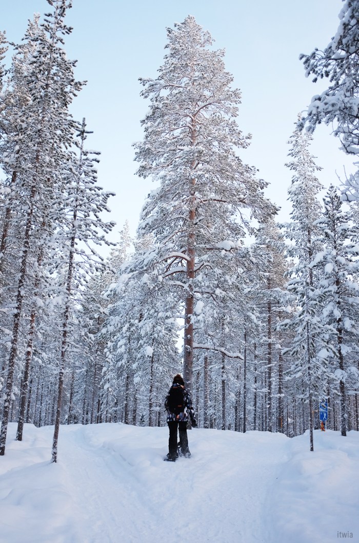 itwia_finland_levi26