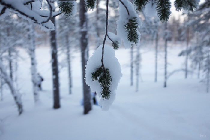 itwia_finland_levi35