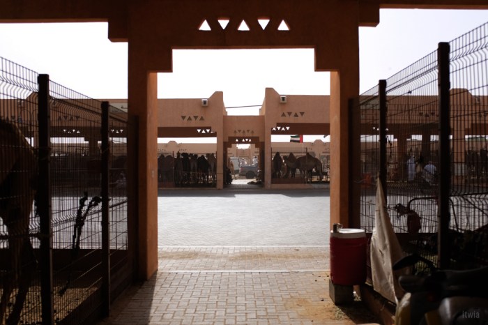 itwia_emirats_alAin21