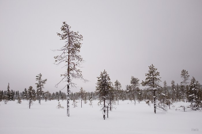 itwia_finland_levi23