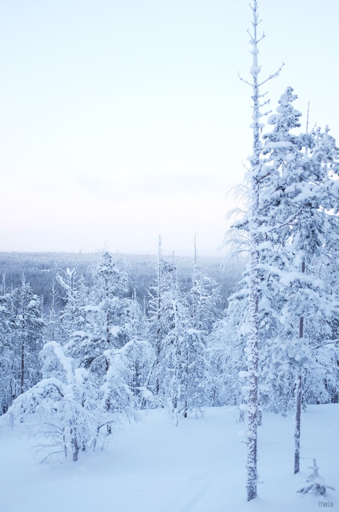 itwia_finland_levi36