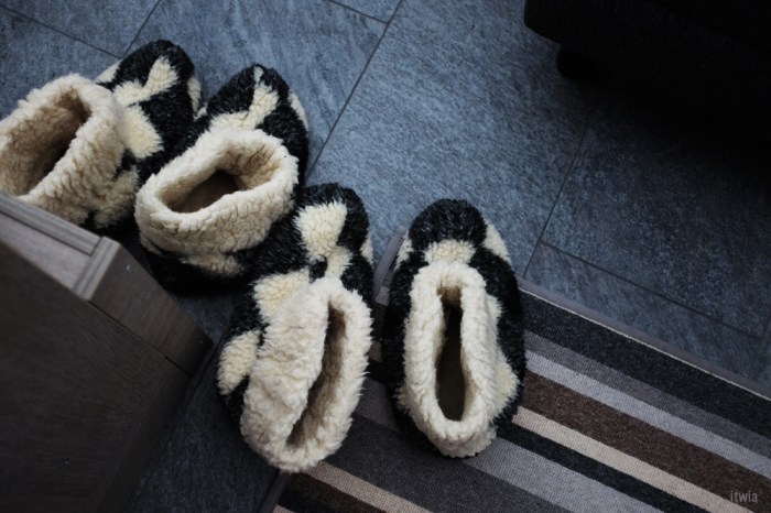 itwia_finland_leviniglut25